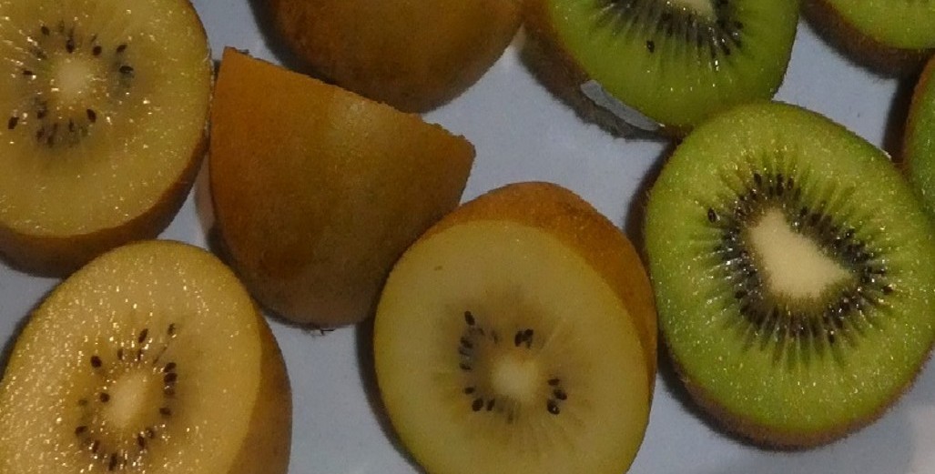 Kiwifruit needs to at least consider protected cropping