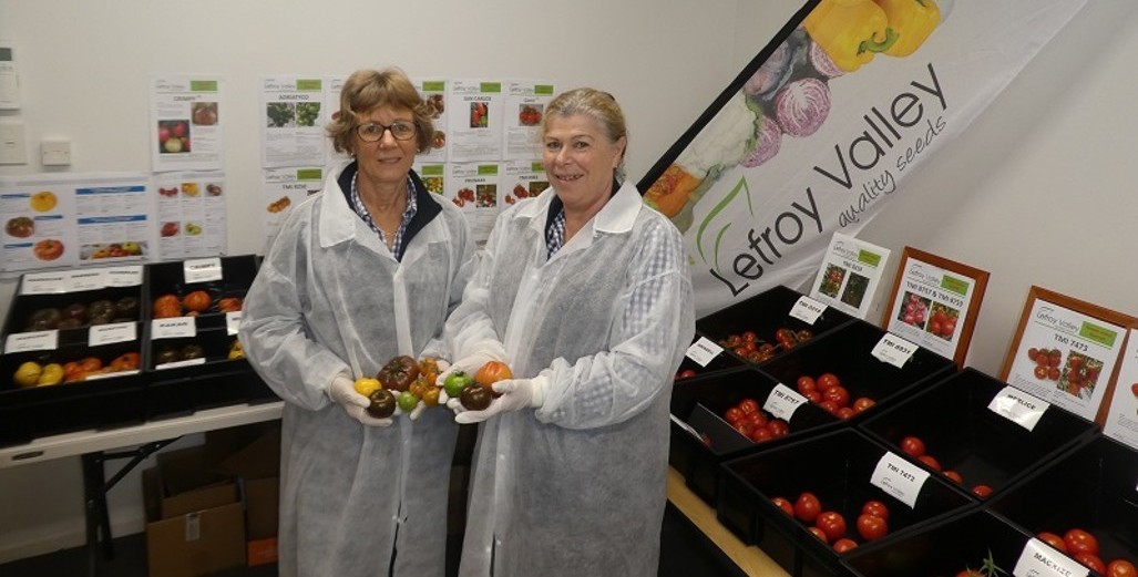 Lefroy Valley Tomato Showcase