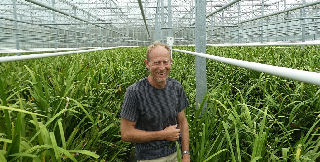 Gus and Helma Sonneveld passion to produce premium quality Cymbidiums
