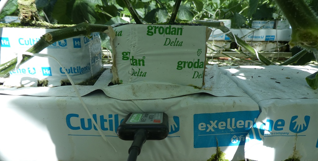 Attend an Online Presentation on ‘The Perfect Irrigation System’