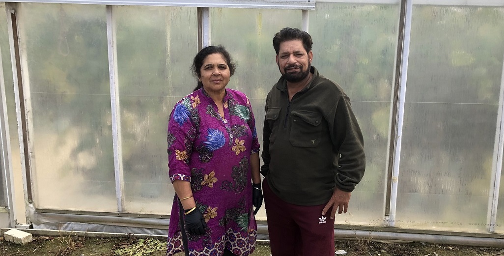 Bali and Jasse Sahota – tomato and cucumber growers