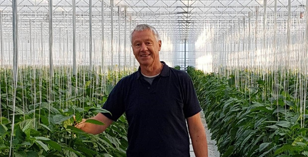 Tomato grower eyes innovative workaround after CO2 shortage cuts production 20%