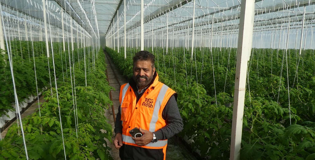 Grower Profile Lakhvir Singh, Dhindsa Farm Limited