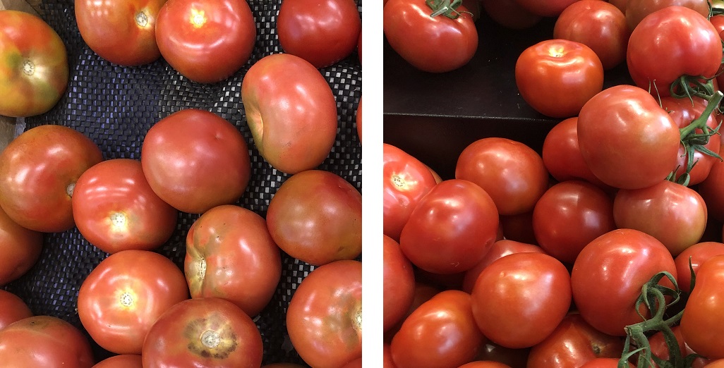 Tomato Prices high due to lack of supply. Contributing factors:  viruses, labour constraints, energy prices, consumable price increases.