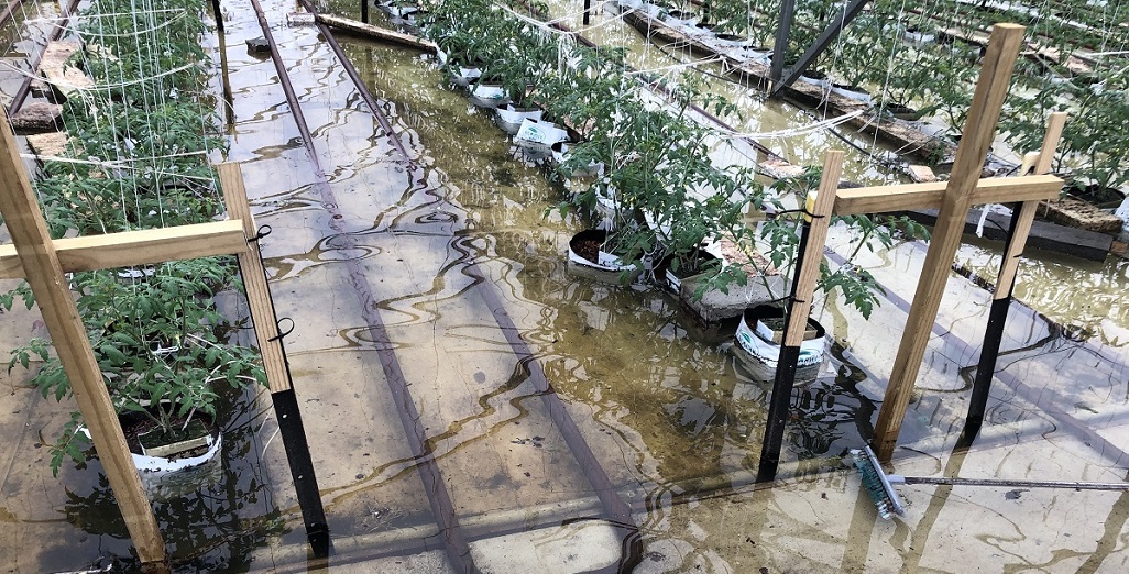 Has your greenhouse been damaged during Cyclone Gabrielle?