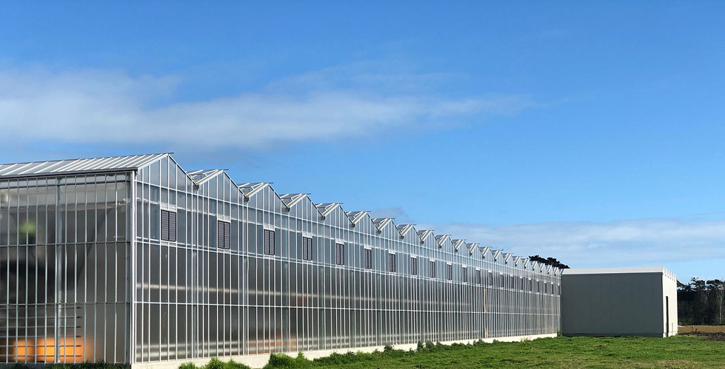 Australasia’s largest greenhouse builder sells minority stake to Dutch CEA player GreenV