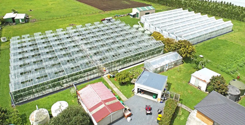 2400m2 heated and covered growing space for sale Waiuku