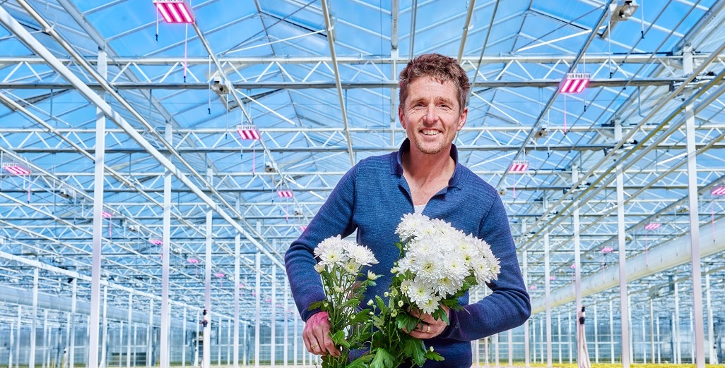 U-Grand grows beautiful chrysanthemums under Philips full LED in a challenging year