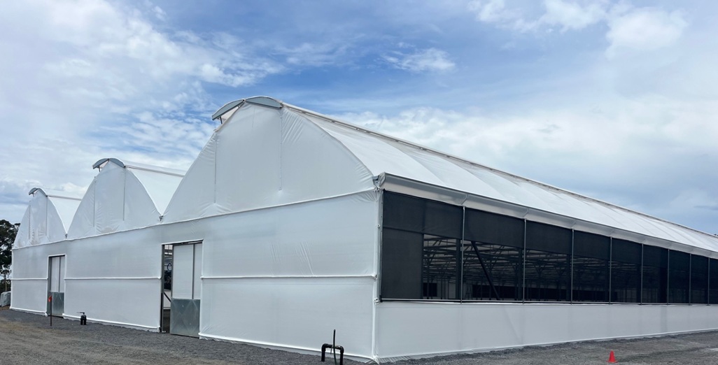 Project Spotlight: A Smarter Future for Botanica Nurseries