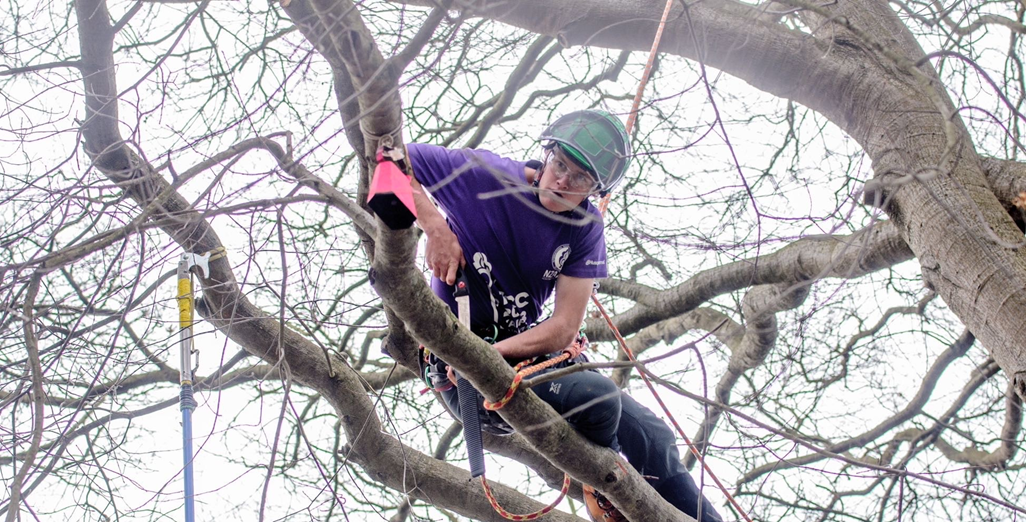 Sky’s the limit for high-achiever Jordan