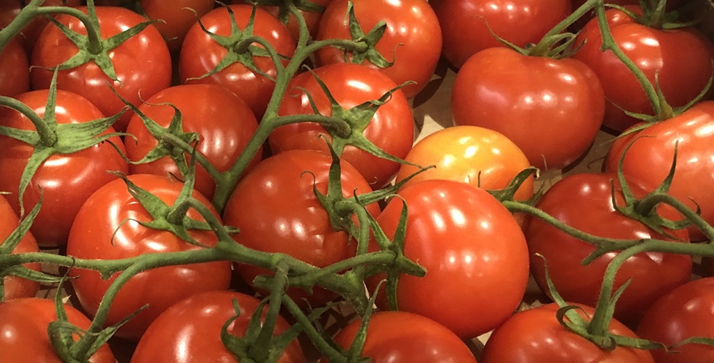 Glasshouse Staff Wanted