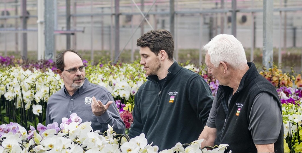 35-40% reduction in energy consumption while simultaneously boosting light output by 35-40%.