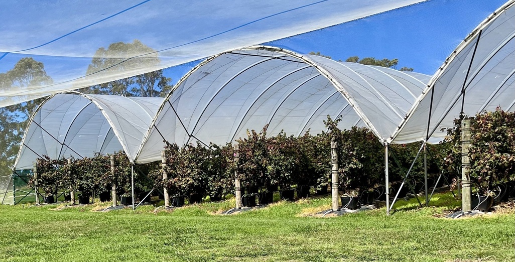 Powerplants News – NutriJet Upgrade at Kaizen Operations