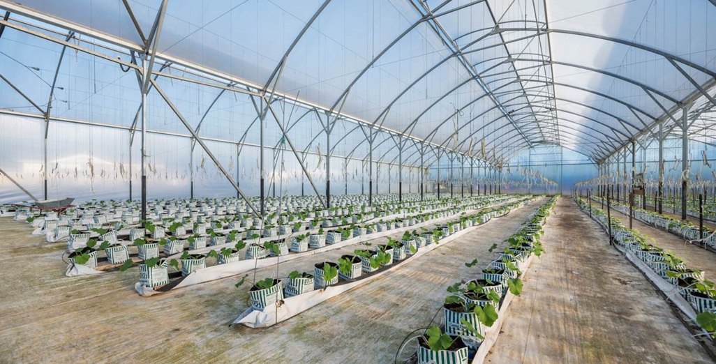 For Sale – 39 Martyn Wright Road, Mauku, Franklin