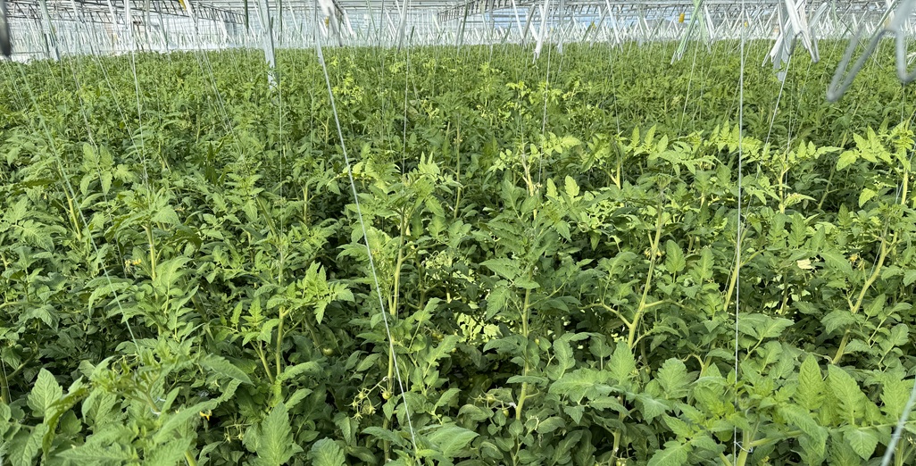 EPA – New General Manager, Hazardous Substances and New Organisms Appointed