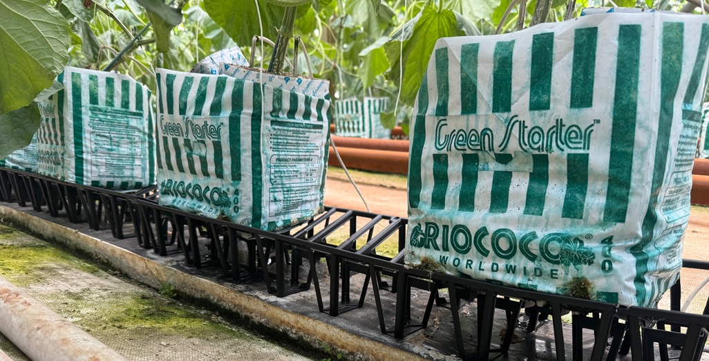 For Sale – Kratos Plastic gutter tray and courgette hook available for sale – Pukekohe