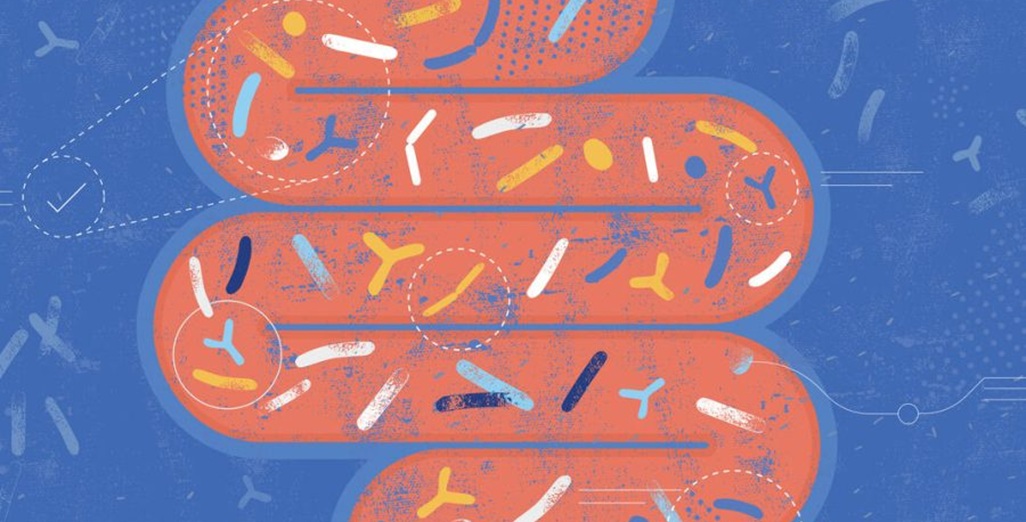 MG Group partners with The Gut Foundation 