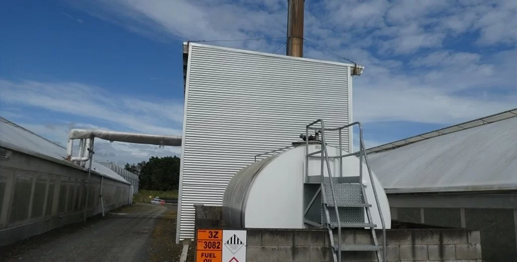 Heating Uncertainty Leaves Greenhouse Growers Searching for Answers