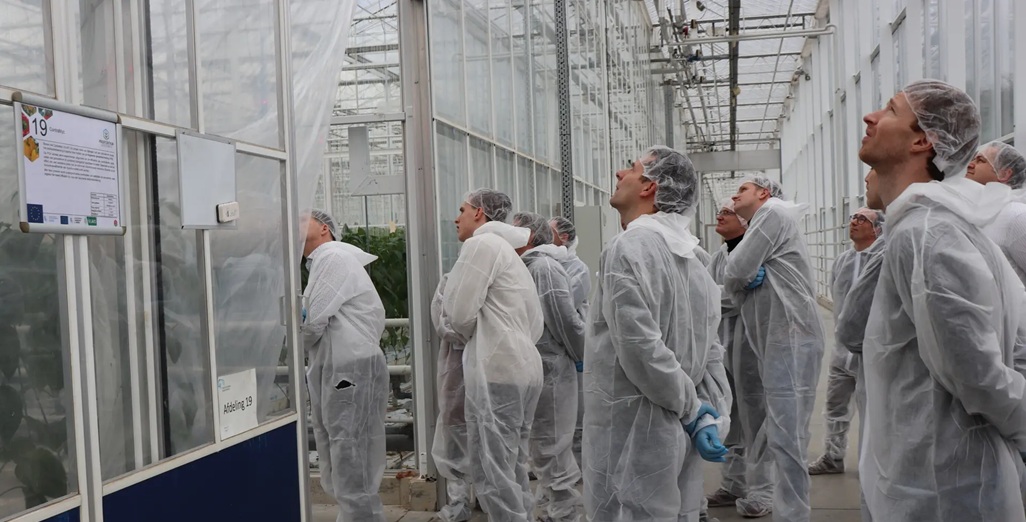 Energy saving through screens