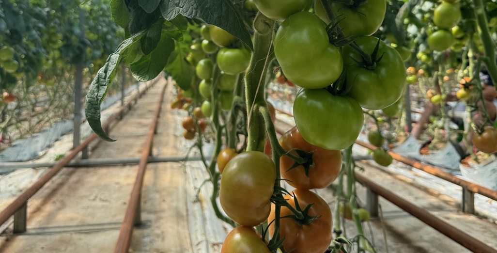 The Environmental Protection Authority (EPA) maintained the upward trend for hazardous substances decisions in the second quarter of the 2025-26 year.