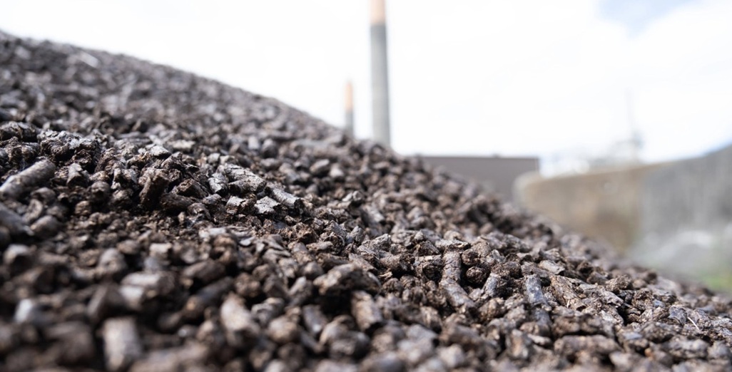 The Carbon Difference Between LNG and Bioenergy: Does it Matter