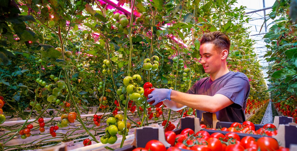 Turn sunshine into synergy and unlock higher yields year-round