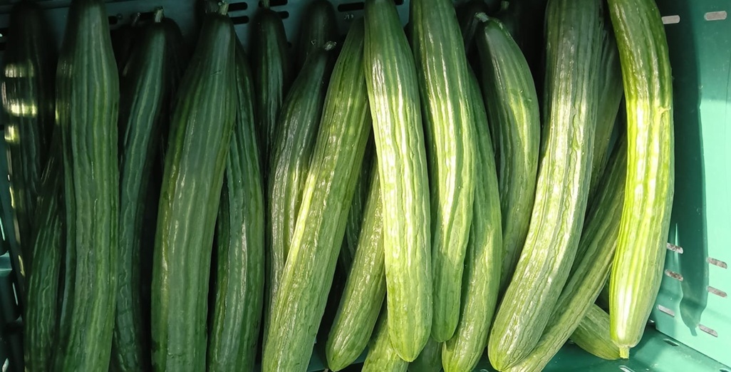 Energy Resilience for Greenhouse Horticulture: Electricity at the Core (not just for greenhouse horticulture but NZ Inc?)