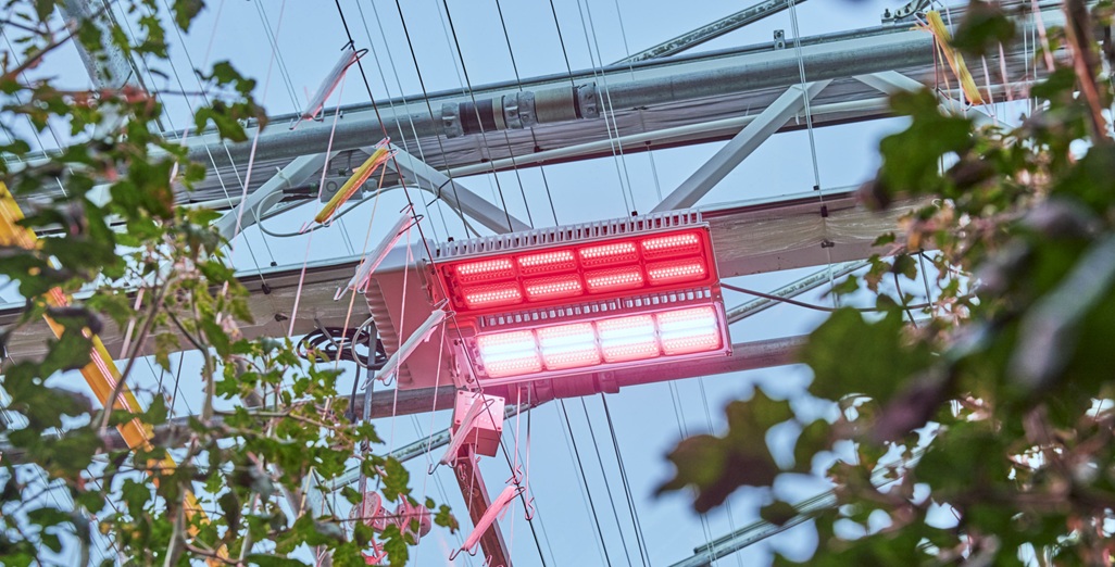 Signify expands Philips GreenPower LED toplighting force portfolio with tailored solutions for today’s diverse grower strategies
