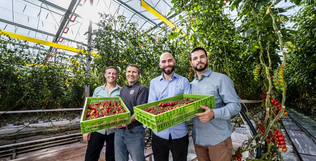 Philips LED lighting enables precise winter growing at Truly Green Farms (Canada)