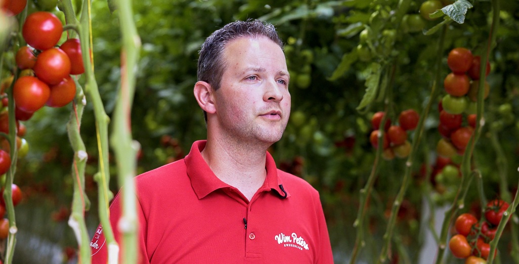 GrowWise smart spectrum helps growers save energy or boost crop growth through automated spectrum optimization