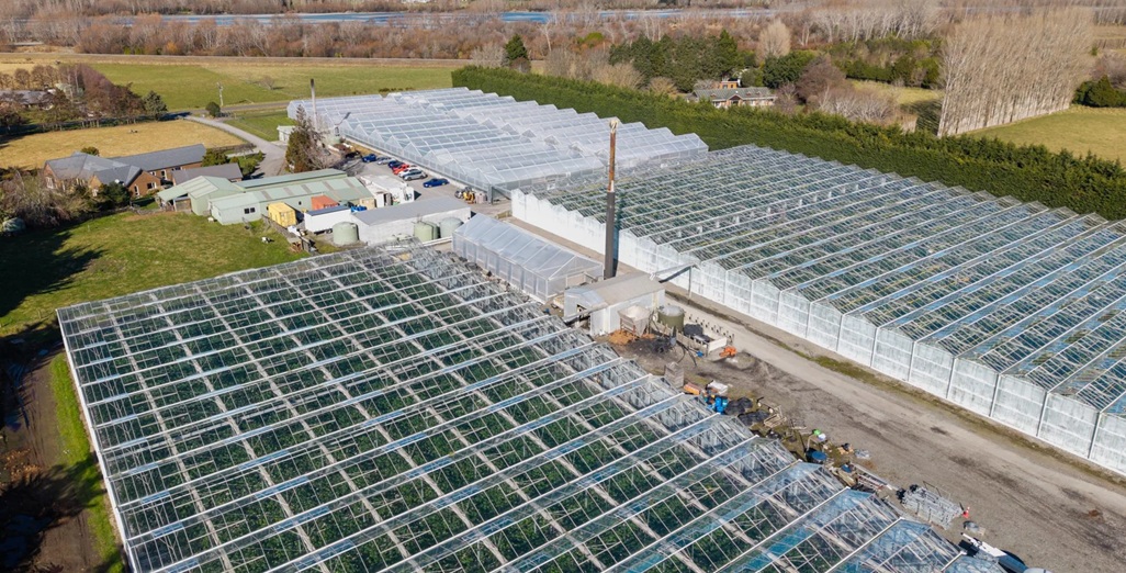 Landmark Horticultural business in prime location