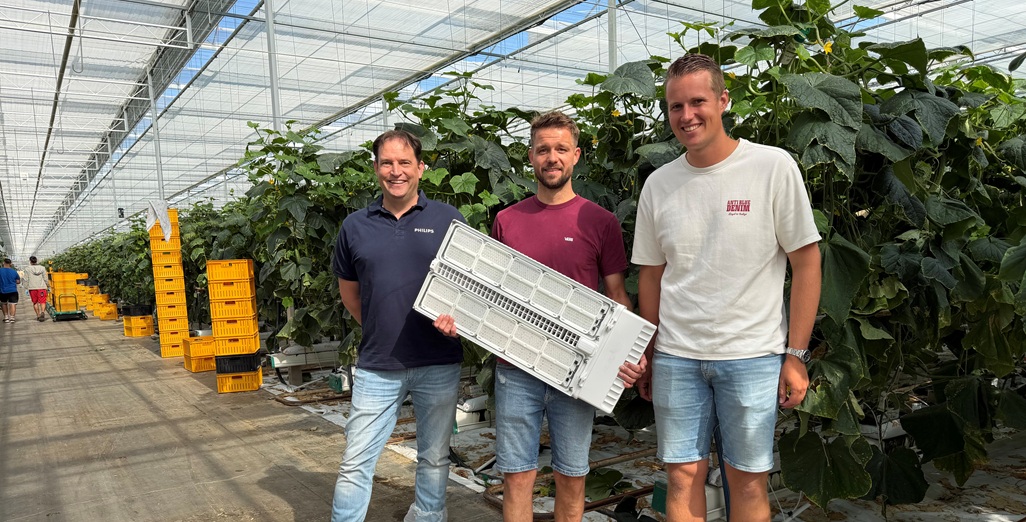 Bolleboom and Bazuin chose Philips GreenPower LED toplighting force elite to make cucumber cultivation more stable, efficient and controllable