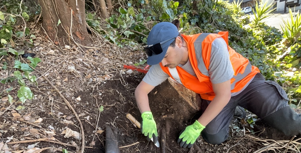 Dane’s deep-rooted passion for conservation