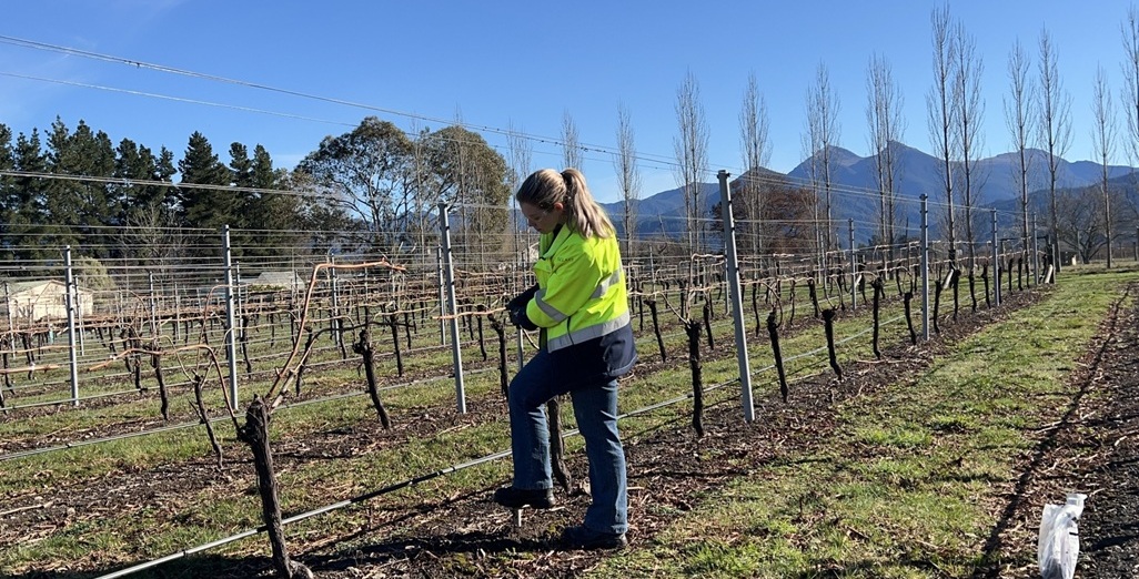 Viticulturist’s thirst for knowledge started at seven