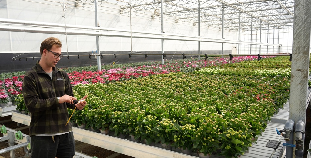 No opportunity wasted for plant producer