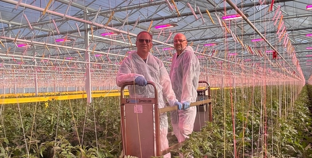 Thanet Earth uses intelligent Philips LED lighting to grow cucumbers and tomatoes throughout the full UK winter